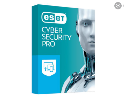 ESET Cyber Security Pro 8.7.700.1 Crack + License Key Free!